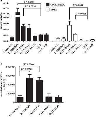 Transgenic Expression of Human C-Type Lectin Protein CLEC18A Reduces Dengue Virus Type 2 Infectivity in Aedes aegypti